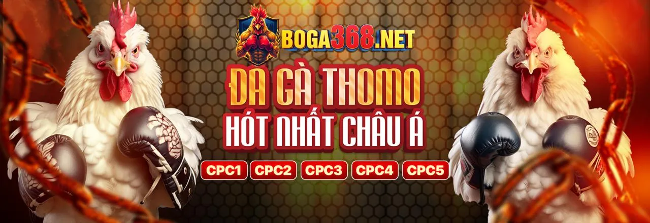 Đá gà trực tuyến 77ball