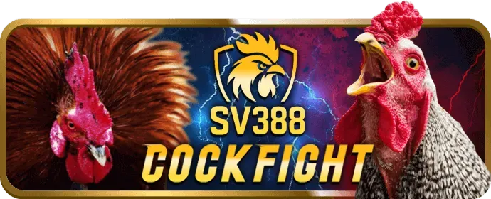 Điện thoại hỗ trợ 77ball link vào