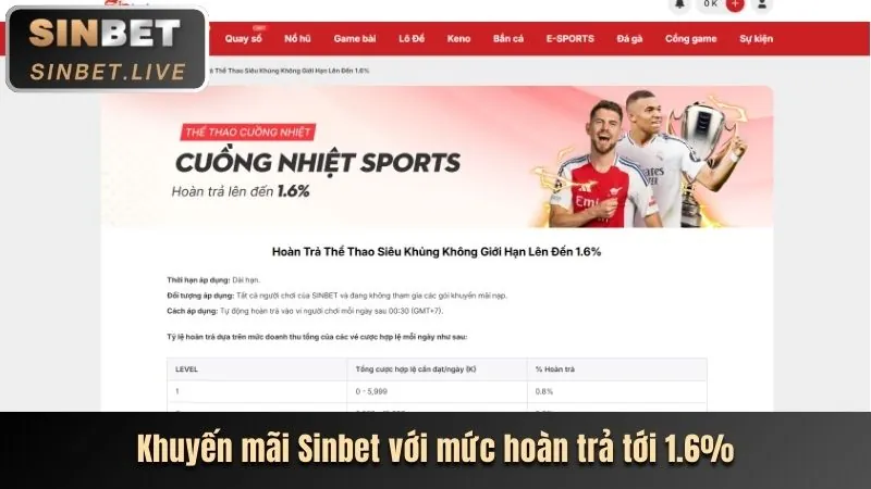 Hoàn trả hàng tuần/tháng tại 77ball
